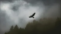 O svobodě (rozhovor)